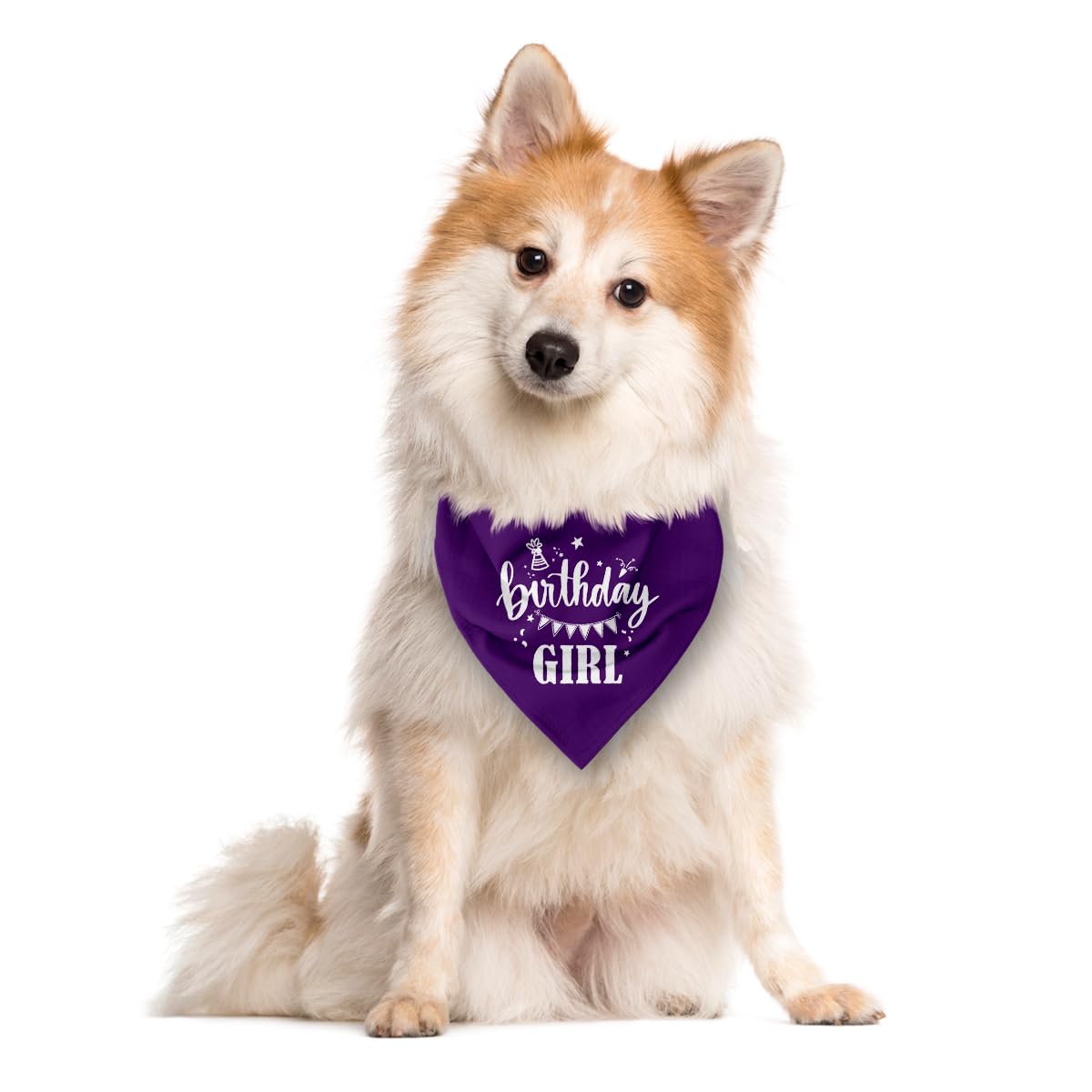 Birthday Girl Dog Bandana - Purple Triangle Scarf for Small Medium Large Dogs - Funny Cute Pet Accessory - Gift for Dog Lovers (D32)