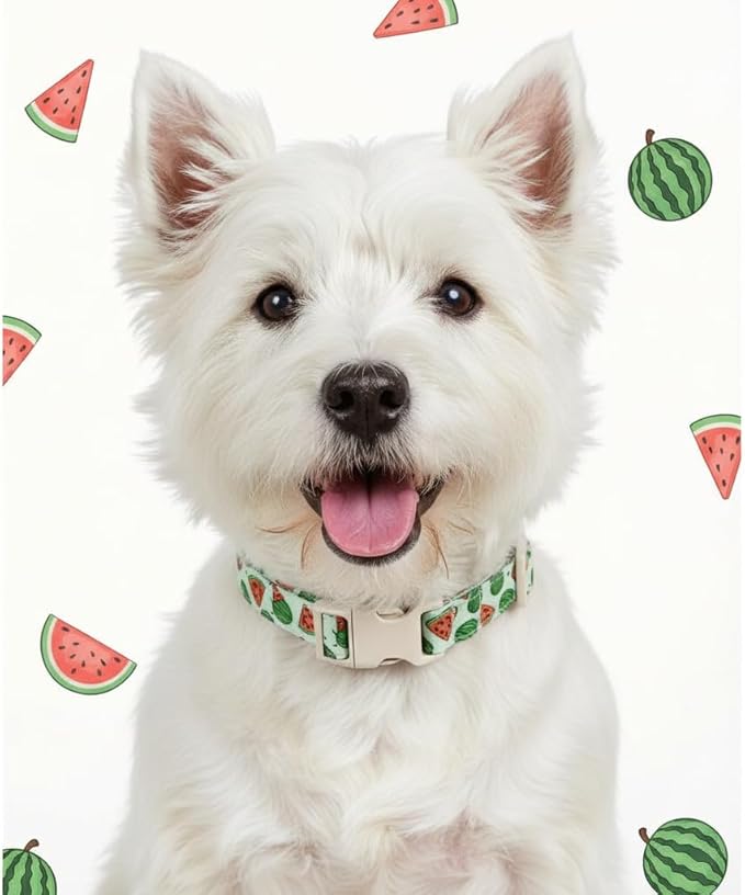 Britwicfr Summer Dog Collar for Medium Dogs, Cute Dog Collar with Watermelon Pattern and Pendant, Green Pet Collar with Soft Cotton Fabric and Robust Buckle