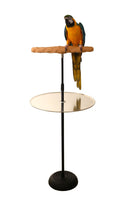 Parrot Training Perch Stand with Potty Tray (T Perch, XL)
