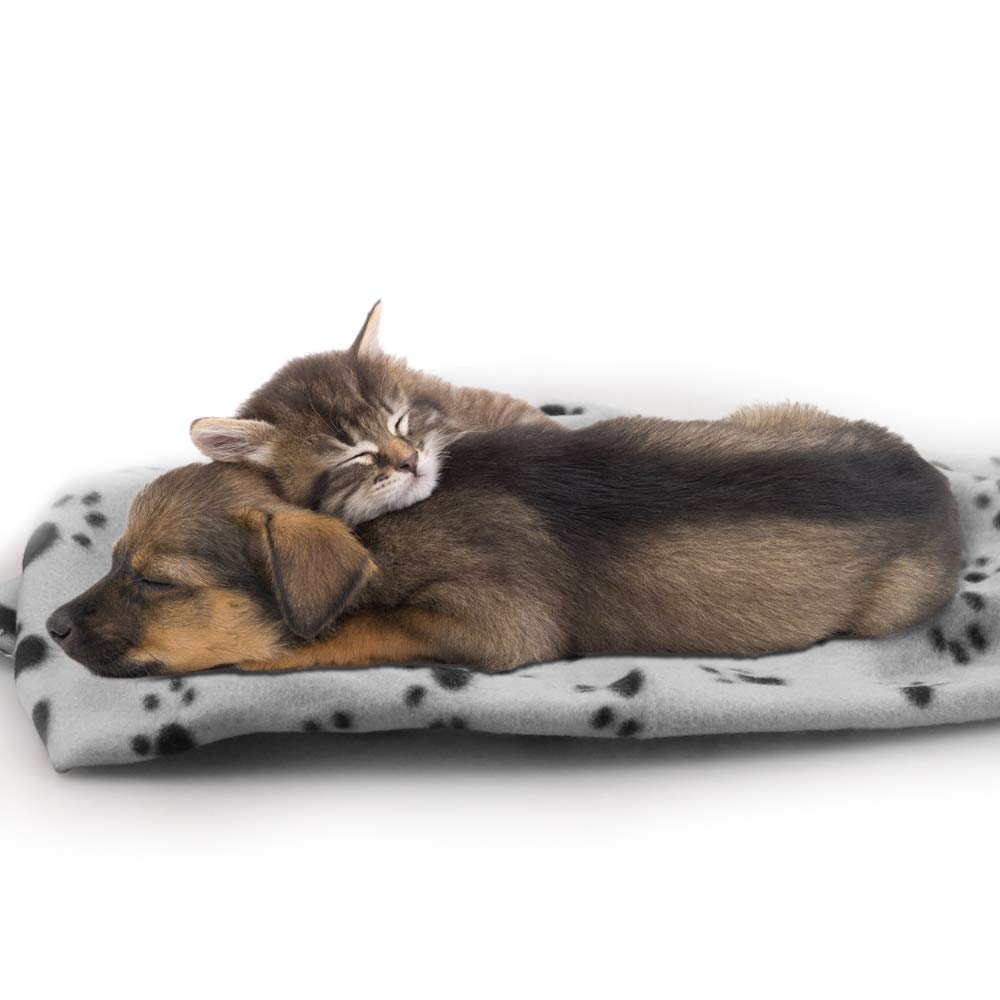 Comsmart Dog Blankets for Small Dogs, 6 Pack Puppy Blanket Cute Paw Print Pet Blanket for Dog, Puppy, Cat, Kitten, 24x28 inches, Grey