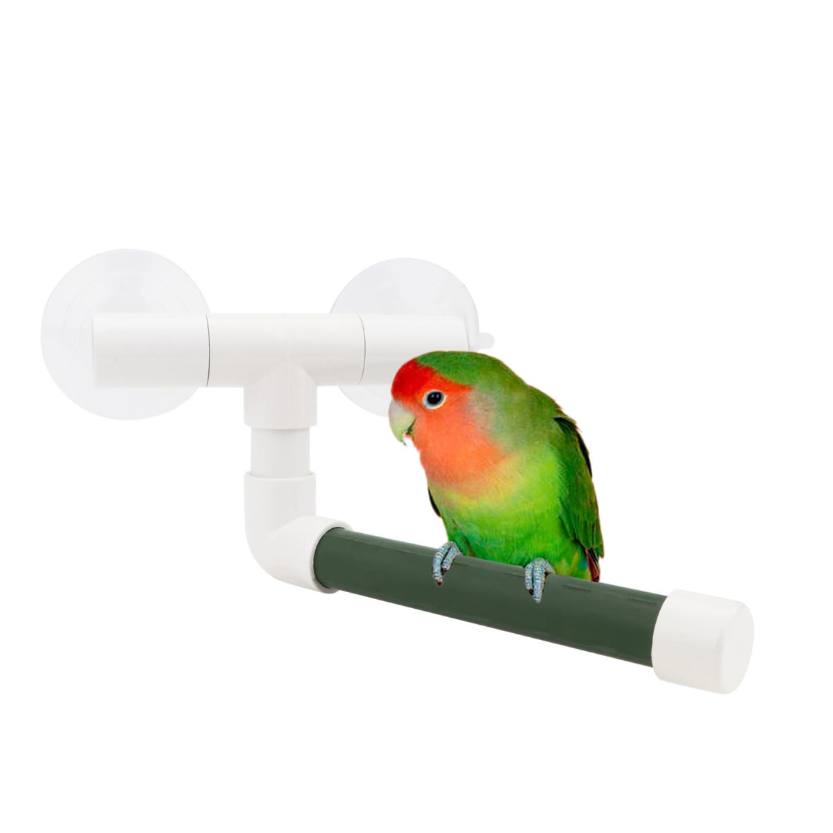Hypeety Portable Suction Cup Bird Window and Shower Perch Toy Parrot Stand