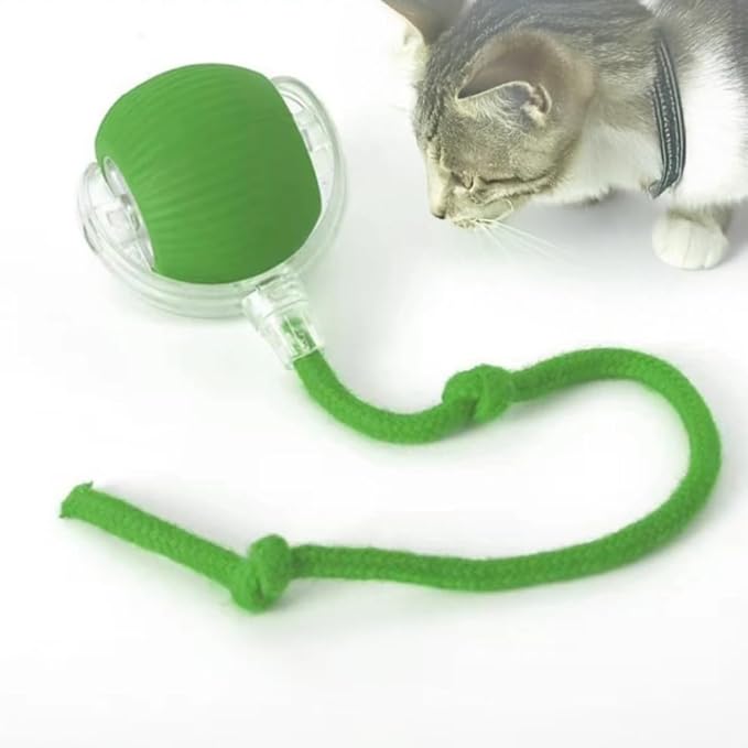 Cat and Small Dog Toy Ball with Tail Rope, Red