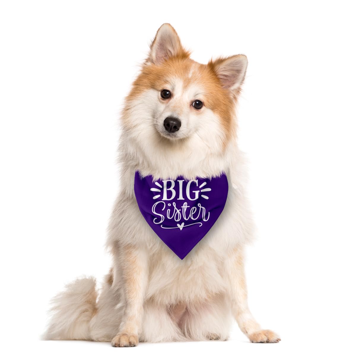 Big Sister Dog Bandana, White Pet Triangle Scarf Accessories, Pet Bandana for Large Dogs, Baby Announcement Dog Bandanas (L)