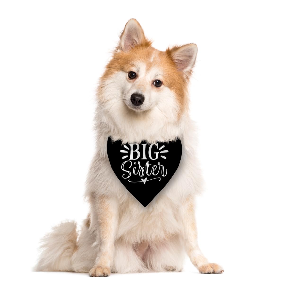 Big Sister Dog Bandana, White Pet Triangle Scarf Accessories, Pet Bandana for Large Dogs, Baby Announcement Dog Bandanas (L)