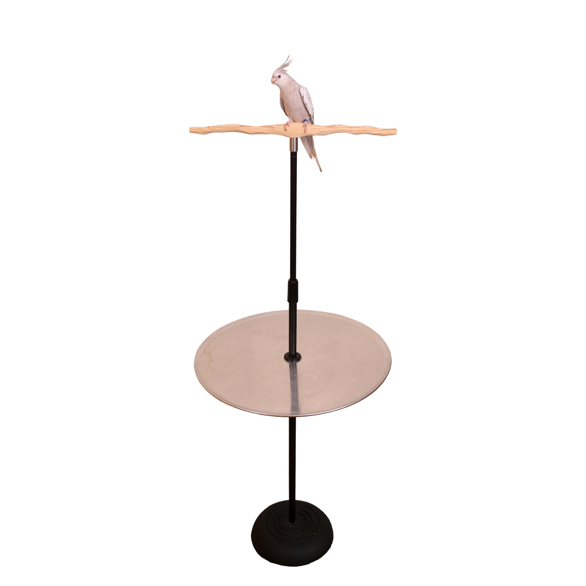 Parrot Training Perch Stand with Potty Tray (T Perch, XL)