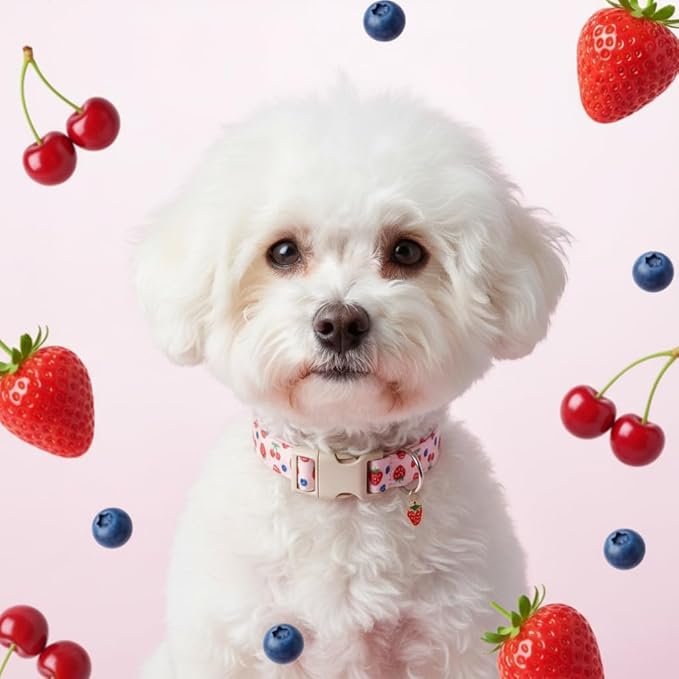 Britwicfr Pink Dog Collar, Female Dog Collar for Large Dogs with Strawberry, Cherry and Blueberry Print, Spring Summer Collar Made of Durable Soft Fabric, L