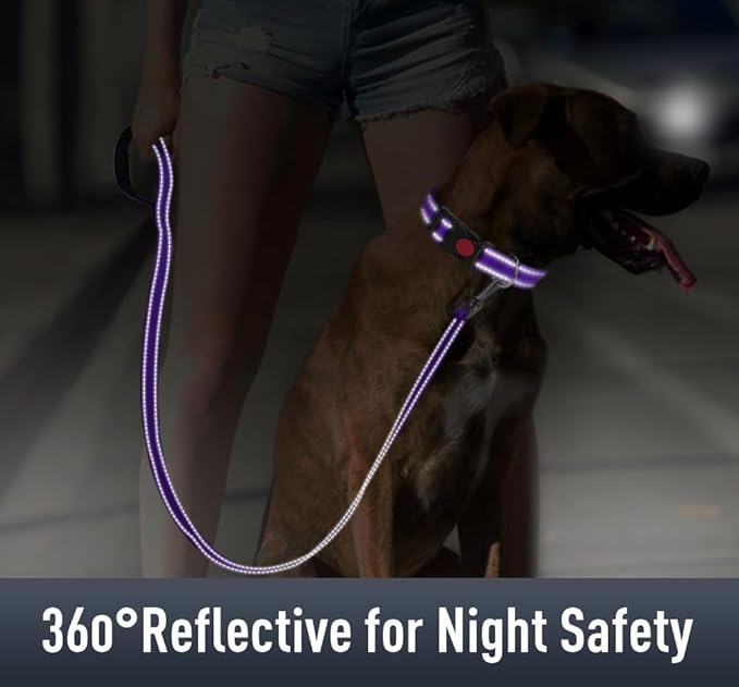 Erbine AirTag Dog Collar with AirTag Holder Compatible for Air Tag, Reflective Soft Padded, Safety Locking Buckle, Adjustable Nylon for Small Medium Large Dogs (Purple,XL)
