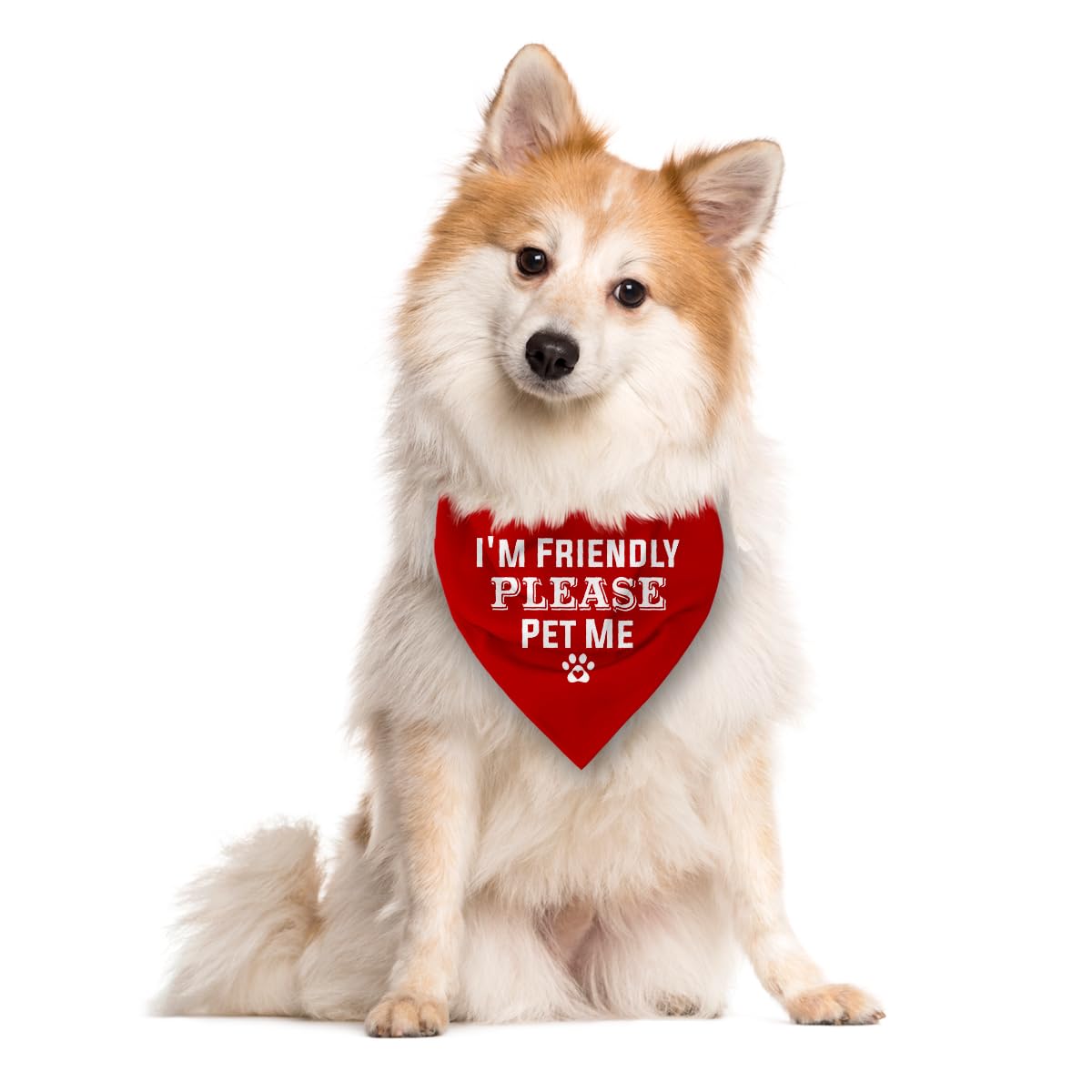 I'm Friendly Please Pet Me Dog Bandana - Red, Funny Cute Triangle Scarf Accessory for Small Medium Large Dogs (D49)