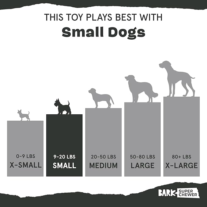 Barkbox Super Chewer Tough Dog Chew Toys for Aggressive Chewers, Dental Stimulating (PB Bone - Small)