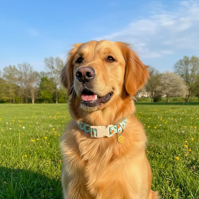 Britwicfr Dog Collar, Spring Summer Dog Collar with Orange Print and Charm, Cute Spring Summer Fruit Collar with Soft & Breathable Fabric, Adjustable Pet Collar for Medium Dogs