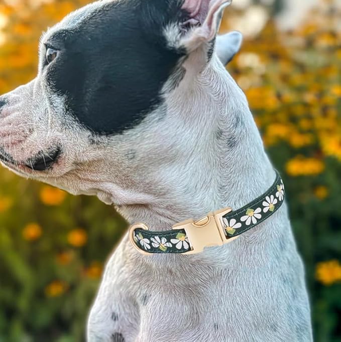 YUDOTE Woven Dog Collar with Metal Buckle Adjustable Jacquard Retro Dog Collars for Small Medium Large Dogs(Green,S)