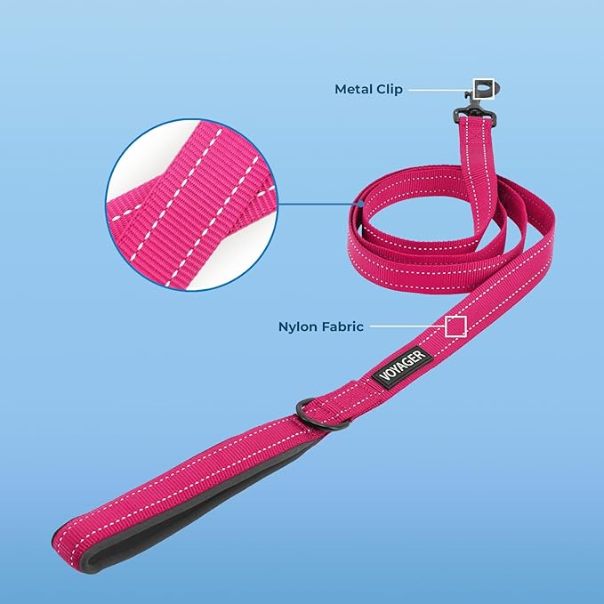 Best Pet Supplies Voyager Reflective Dog Leash or Collar with Neoprene Handle, for Small, Medium, and Large Breed Puppies, Cute and Heavy Duty for Walking, Running and Training - Fuchsia Leash, L