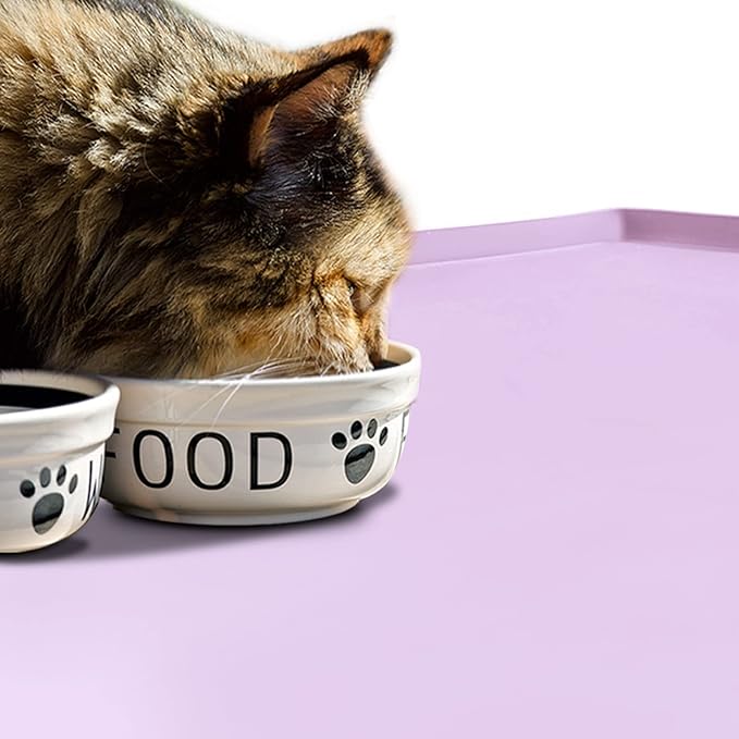 Silicone Dog Food Mat Waterproof Pet Feeding Tray for Small Medium Dogs