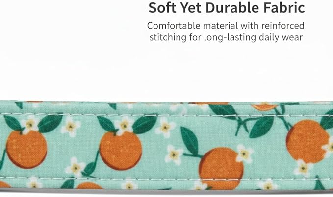 Britwicfr Dog Collar, Spring Summer Dog Collar with Orange Print and Charm, Cute Spring Summer Fruit Collar with Soft & Breathable Fabric, Adjustable Pet Collar for Medium Dogs