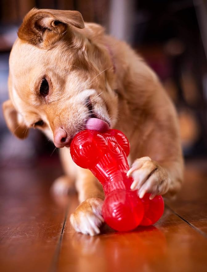 SPOT Play Strong Bone- Durable TPR Long Lasting Dog Chew for Aggressive Chewers, Hole for Treats, Virtually Indestructible Toy for Small and Medium Dogs & Puppies - 4.5 inch