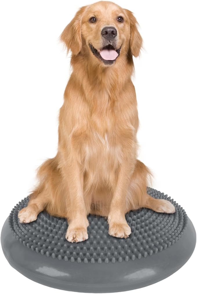 Dog Balance Disc 14 in with Cushion and Pump for Small Medium-Sized Dogs