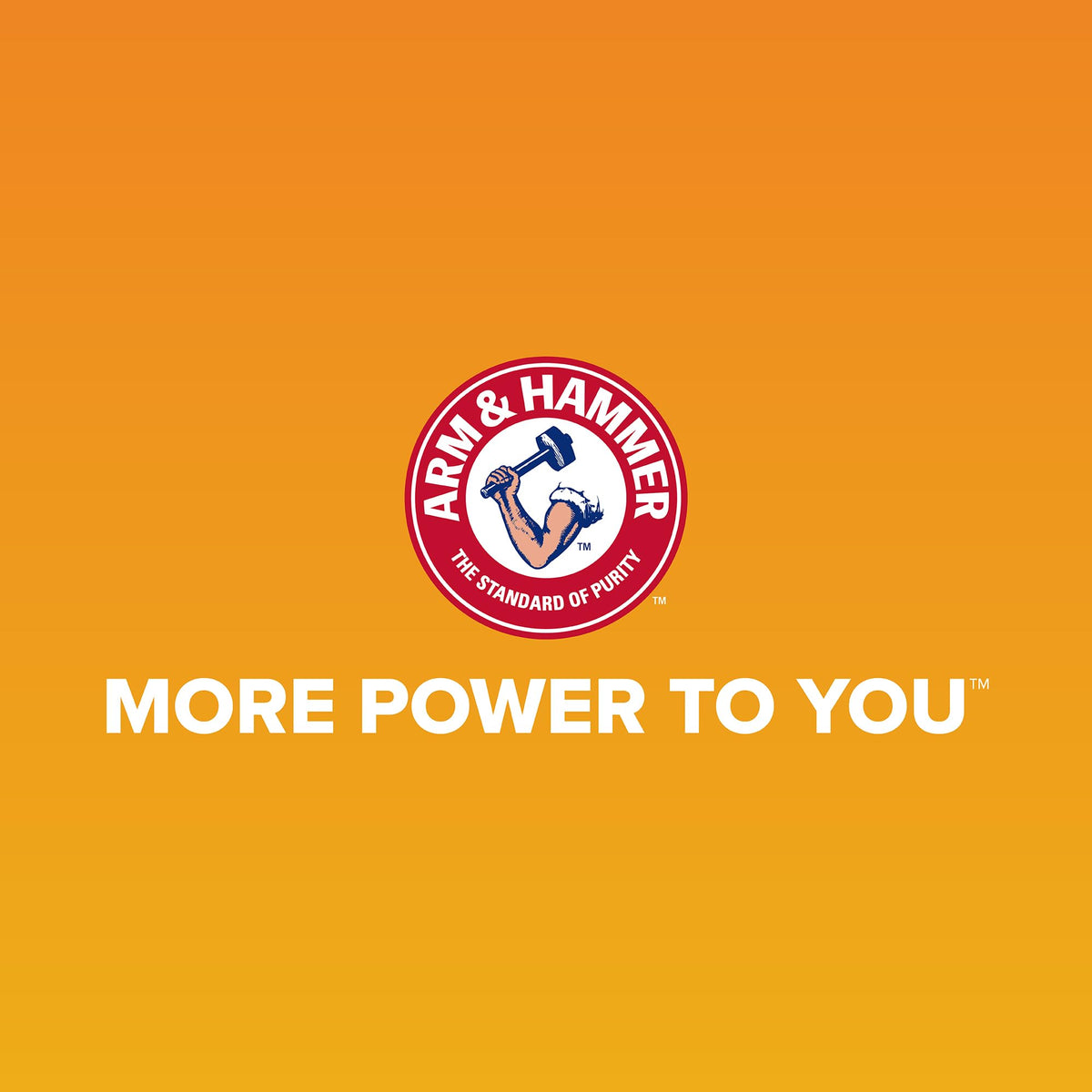Arm and Hammer Heavy Duty Dog Waste Bags, Swivel Bin Rake Refill, 20 Count