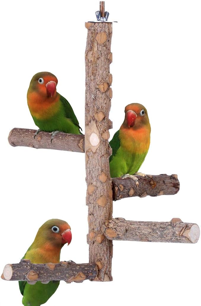 Bird Perch Nature Wood Stand for 3-4pcs Small Medium Parrots (M)