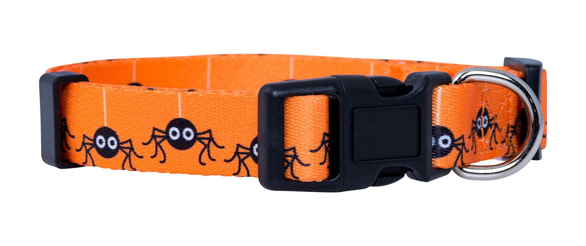 Native Pup Halloween Dog Collar (Small, Bats)