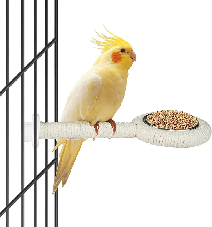 2-Pack Bird Perch Feeding Cup for Parakeet Cockatiel Budgie