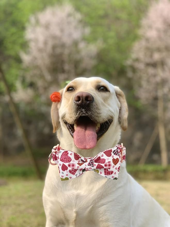 Lionheart glory Heart Dog Collar, Adjustable Dog Collar with Bowtie, Pet Gift Collar for Dog Soft Bowtie Dog Collars for X-Large Dogs