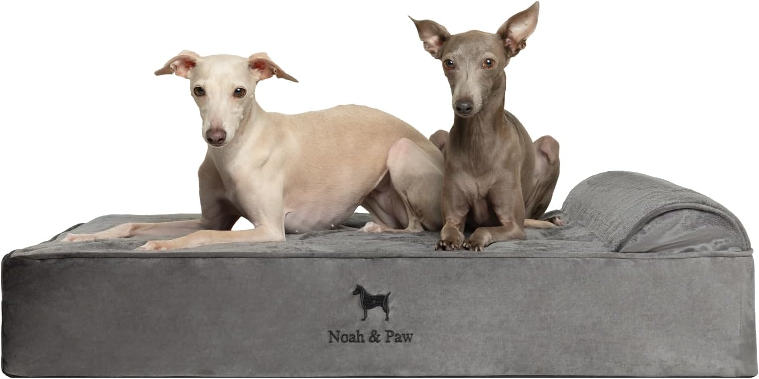 NOAH & PAW Giant Dog Bed XXL 55x45x9.5 Inch, Orthopedic Dog Beds, Eggshell Memory Foam Infused with Cooling Gel, Water Resistant, Machine Washable, Includes Inner Cover (Velvet Collection)