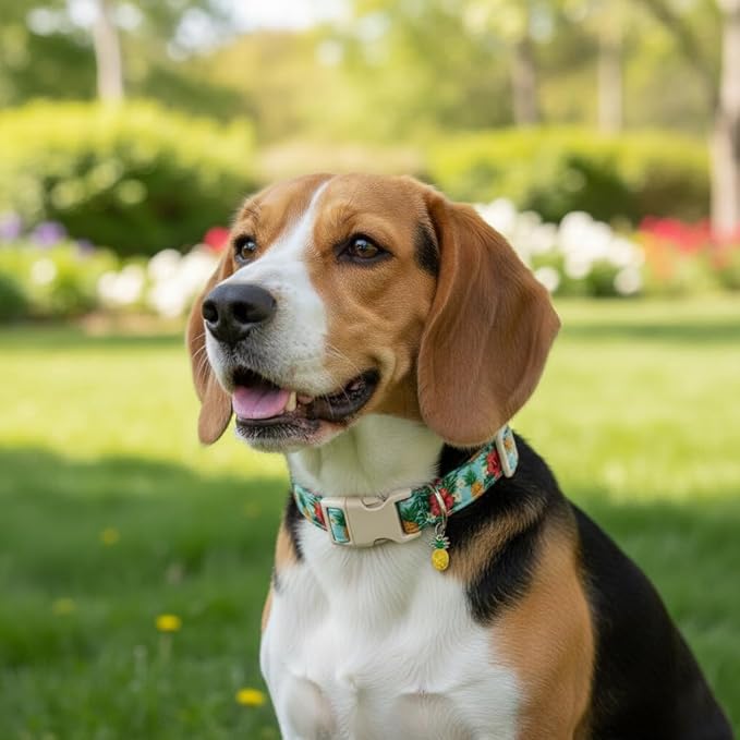 Britwicfr Summer Dog Collar with Tropical Pattern, Cute Dog Collar for Girl Boy Dogs, Pet Collar with Unique Print and Soft Fabric, Suitable for Small Dogs