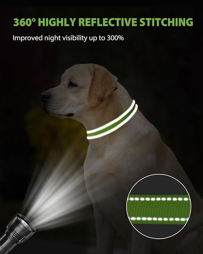 Joytale Dog Collar for Large Dogs, Strong Double-Sided Reflective Nylon Collar for Night Safety, Adjustable Quick-Release for Daily Walking, Green, L (1" Width)