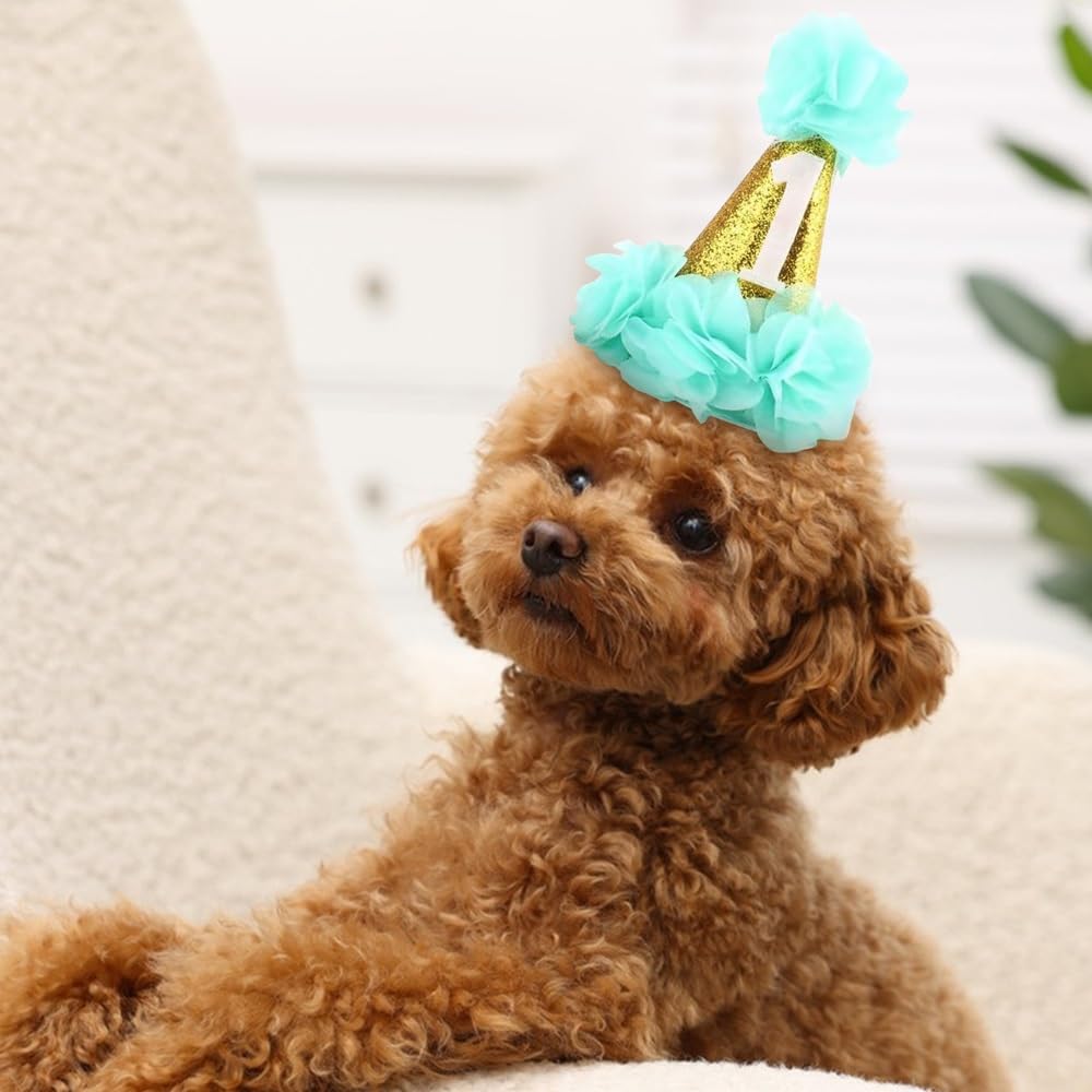 Stock Show 1st Pet Birthday Cone Hat Dogs Cats Holiday Party Hat Headwear Costume with Flowers Accessories and Adjustable Headband for Small Medium Dogs Cats Pets (Blue)