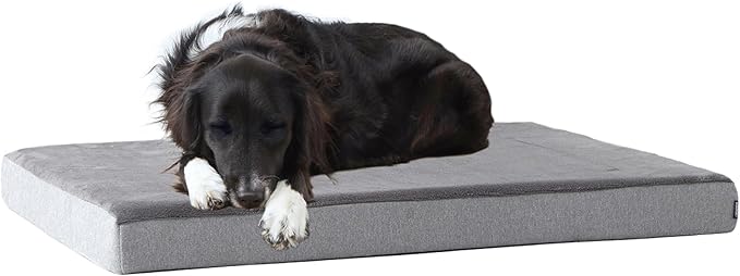 BarkBox Orthopedic Dog Bed - Large