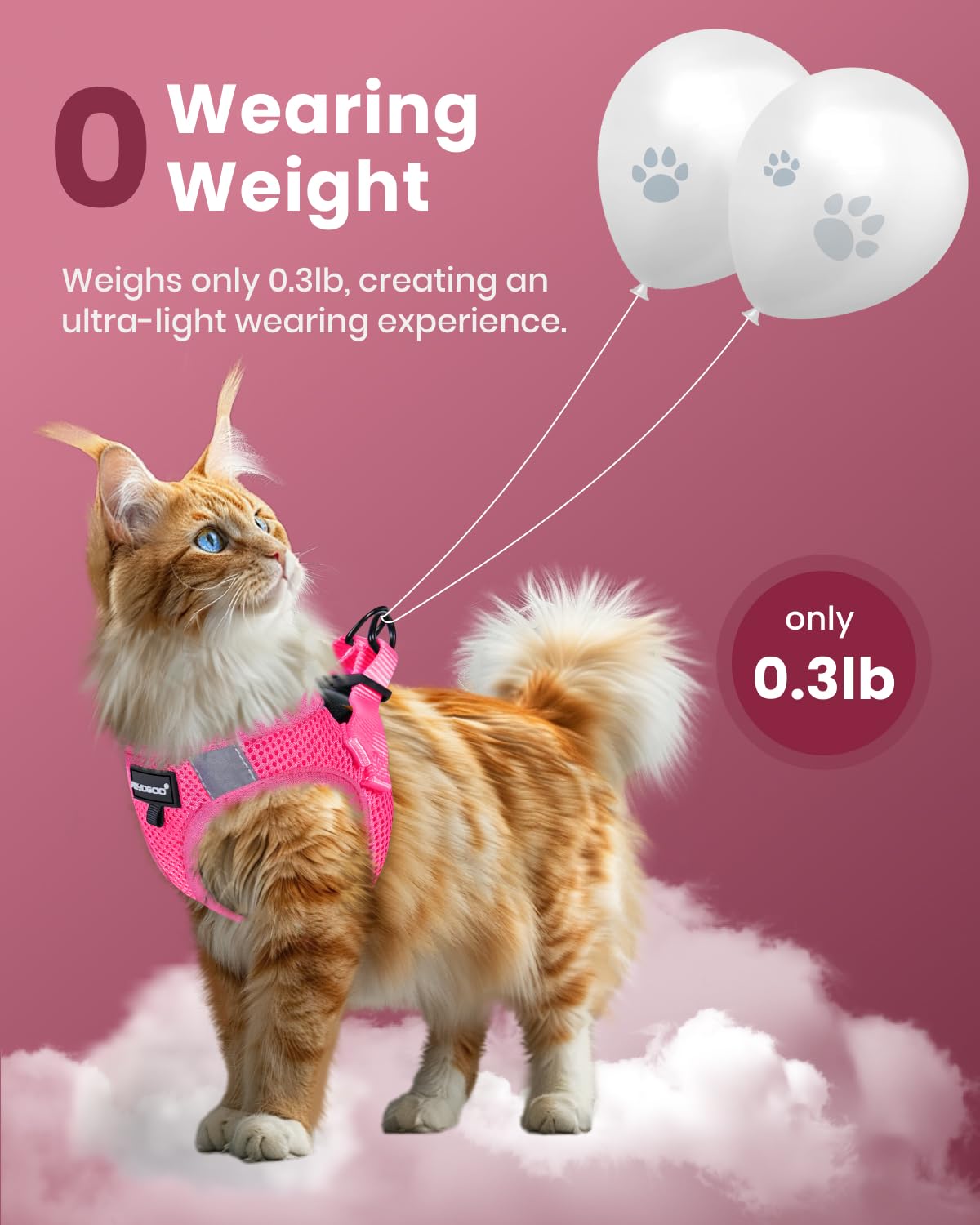FAYOGOO Cat Harness and Leash Set, Escape-Proof Step-in Vest for Walking