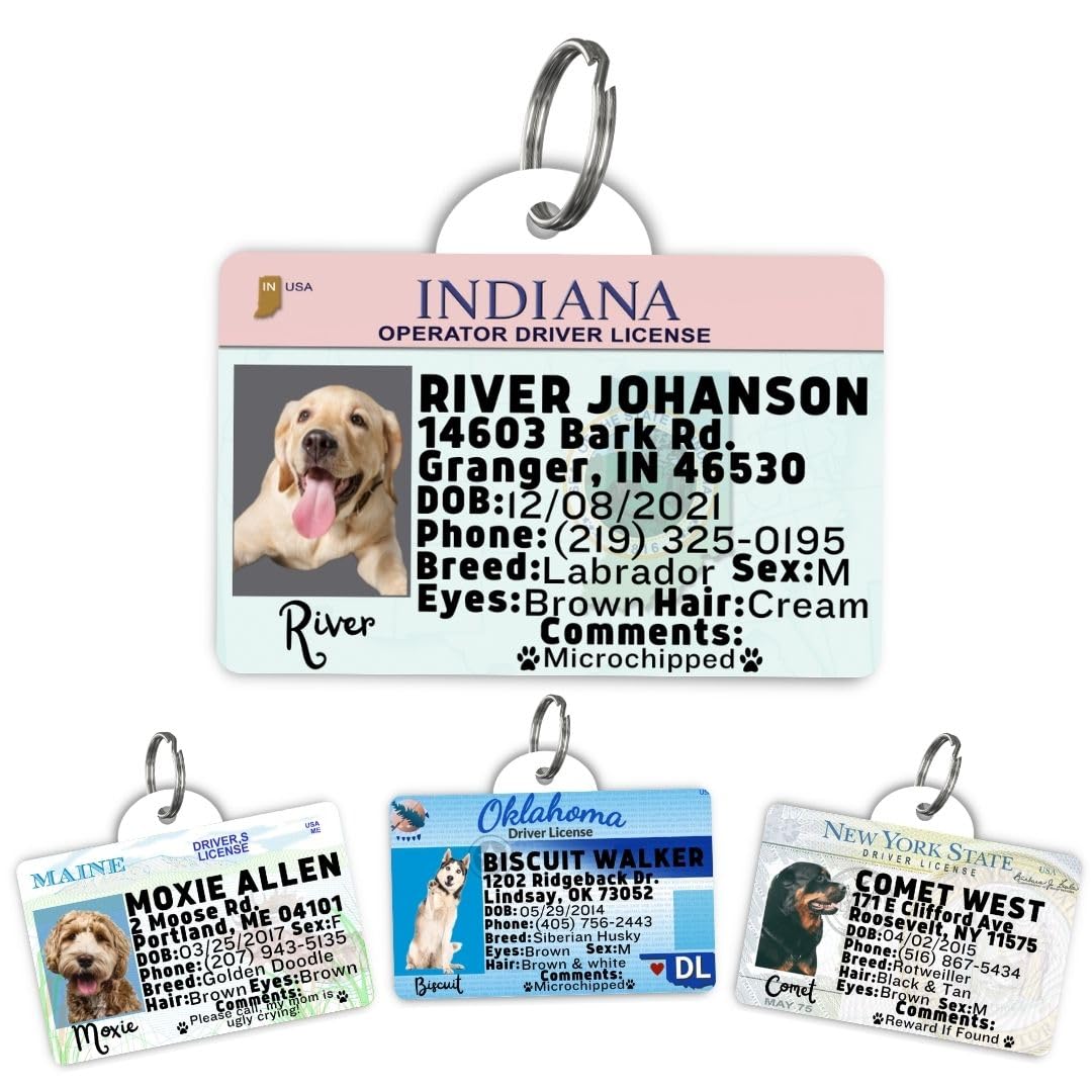 Dog Tags Personalized, Dog ID License Tag for Pets (Washington, Tag)
