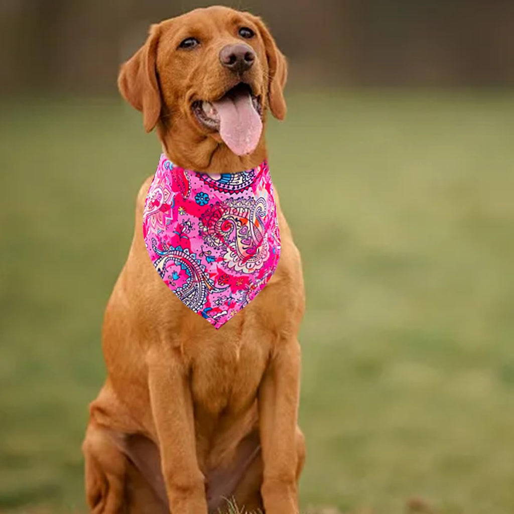 Pai Sence Paisley Dog Bandanas Bulk for Large Dogs Sewn Edges 33" 30 Pack L