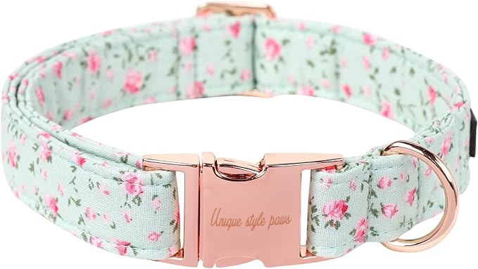 Unique style paws Dog Collar Metal Buckle Collar for Autumn Winter Christmas for Small Medium Large Boys Girls Dogs — S
