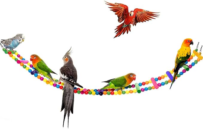 SunGrow Parrot Swing and Perch Bundle, Keep Birds from Hatching Plans for World Domination with Joyful Colorful Items for Love Birds, Conures, Cockatiels, Finches, Parakeets