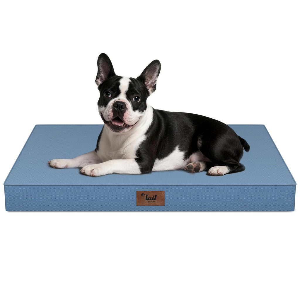 Tail Stories Orthopedic Waterproof Dog Bed for Small Dogs and Cats