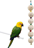 Jinkoozz Bird Chewing Toy, Bird Sola Ball Toy with Bell, Bird Cage Accessories, Cage Toys for Cockatiel Parakeet Parrot Budgies Rat Hamster Chinchilla Rabbit Bunny African Grey
