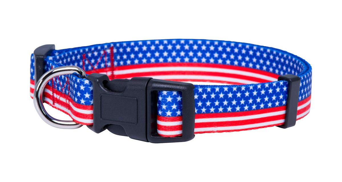 Native Pup Halloween Dog Collar (Small, Bats)
