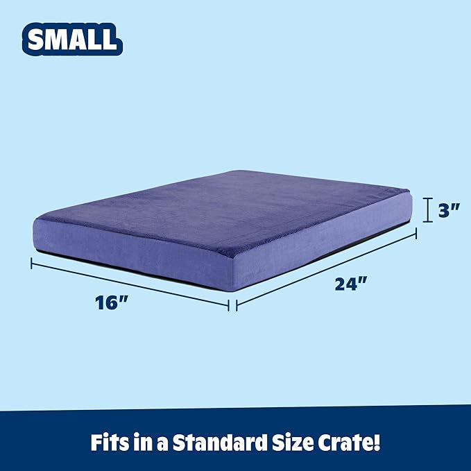 BarkBox Orthopedic Dog Bed - Small