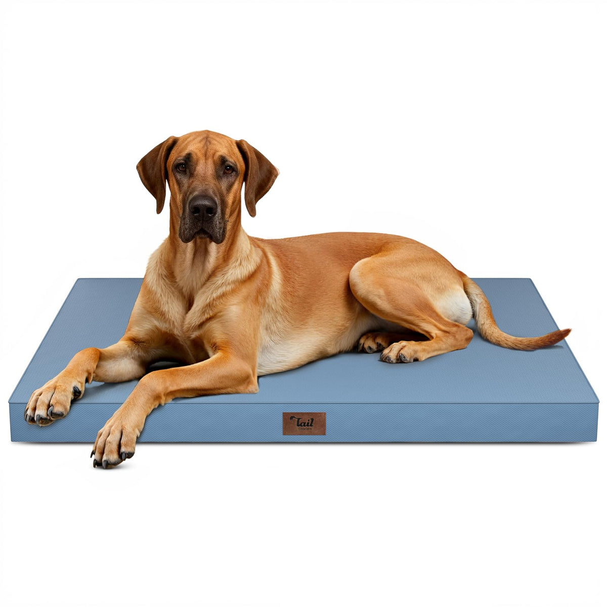 Tail Stories Jumbo Waterproof Orthopedic Dog Bed for Extra Large Dogs