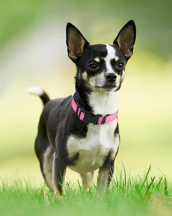 Joytale Reflective Dog Collar, Adjustable Neoprene Padded, Pink XS