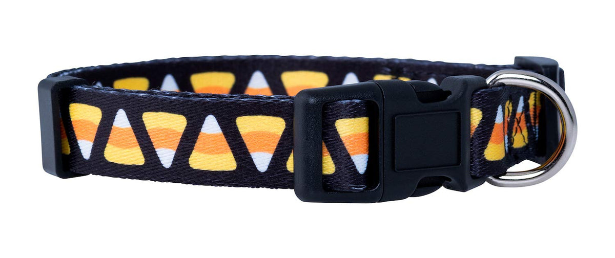 Native Pup Halloween Dog Collar (Large, Bats)