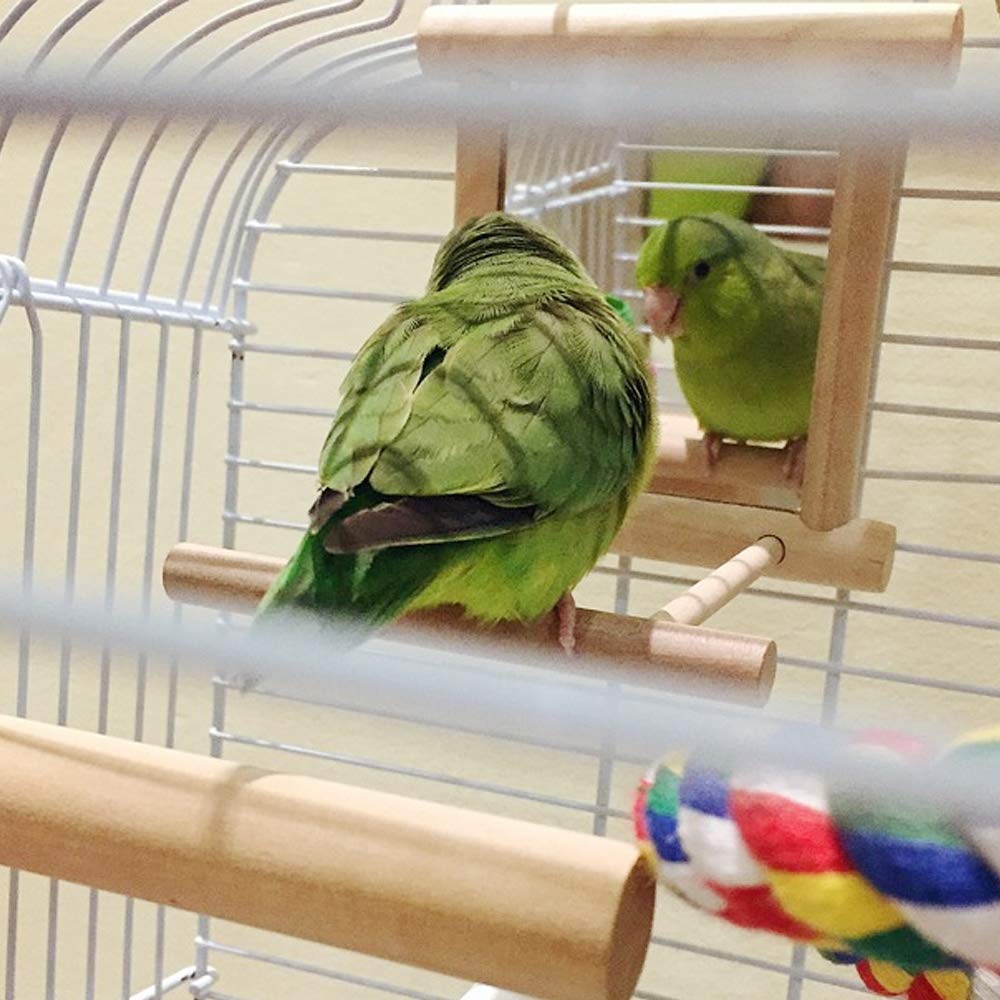 HANZE Bird Mirror Swing with Rattan Ball | Natural Wood Parrot Toy with Metal Hooks for Macaws, Cockatiels, Parakeets, Lovebirds | Safe Chewing & Mental Stimulation - 2 Pack
