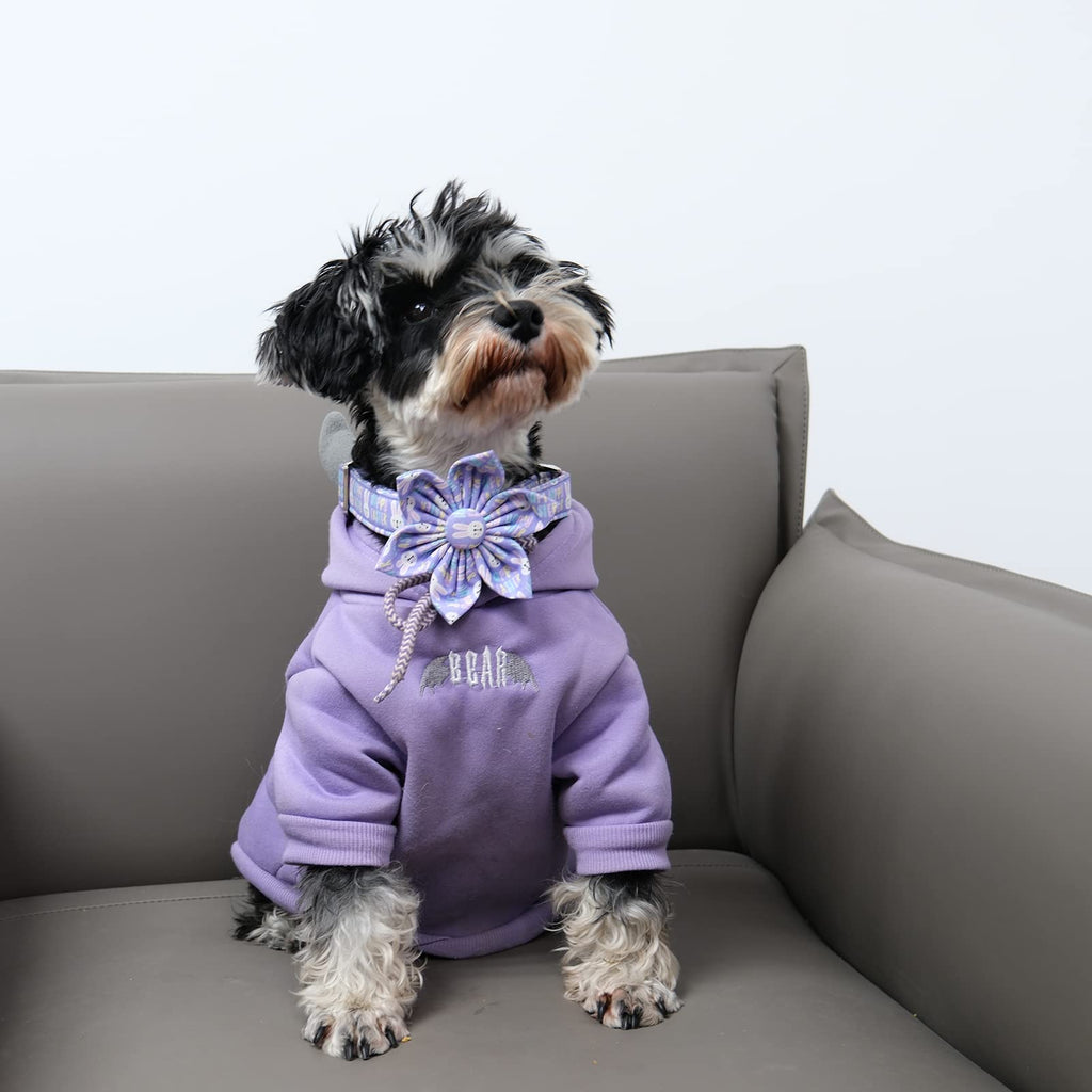 MR. CHUBBYFACE· Easter Dog Collar, Purple Rabbit Pet Collar with Flower, Adjustable Puppy Collar Bowtie for Small Medium Large Dogs