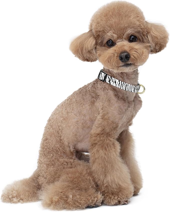 TMOODEL Reflective Dog Collar for Small Dogs Cats, Cute Boho Adjustable Heavy-Duty Nylon Puppy Collar for Boy and Girl Female, Soft Pet Accessories with Quick Release Buckle, Stylish Zebra Print