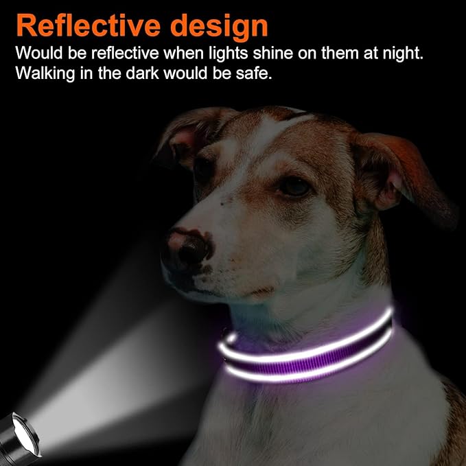 Joytale Reflective Dog Collar, Adjustable Neoprene Padded, Purple M