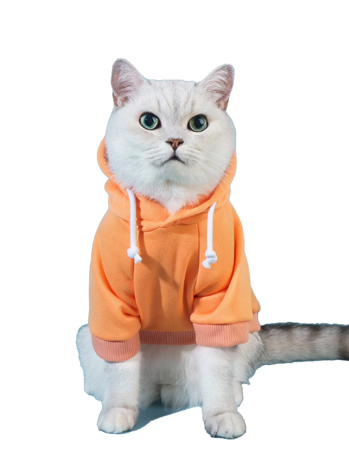 QWINEE Basic Dog Hoodie Sweatshirt Puppy Sweater Warm Cat Costumes Pet Clothes for Chihuahua Puppy Kitten Small Medium Dogs Yellow X-Small