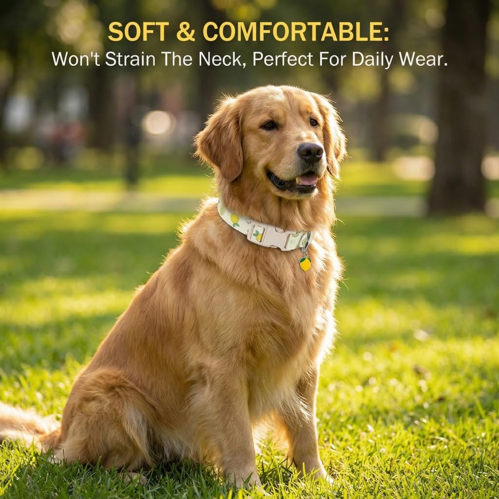 Britwicfr Dog Collar, Spring Summer Dog Collar with Yellow Lemon and Cute Charm, Pet Collar with Quick Release Buckle and Durable Fabric, Suitable for Small Dogs