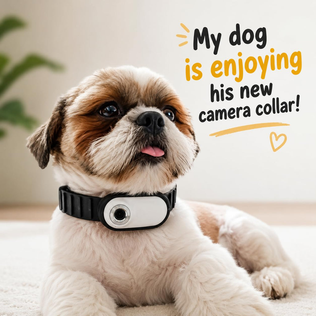 TOYDYLAN Dog & Cat Collar Camera for Small Dogs & Cats
