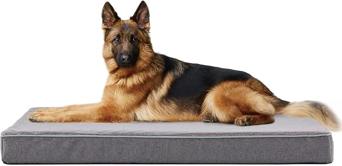 WATANIYA PET Medium Dog Beds for Medium Dogs, Memory Foam Dog Bed, Orthopedic Small Dog Bed with Washable Cover & Waterproof Liner, Plush Puppy Bed with Anti-Slip Bottom (29’’x 18’’)
